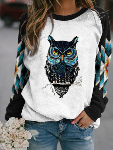 Womens Owl Print Crew Neck Long Sleeve T-Shirt Top