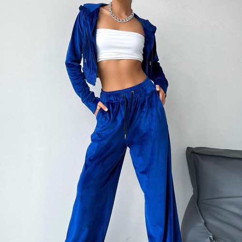 Women's Set Casual Two Piece Set Fall Outfit Sport Velvet Sweatshirt and Straight Pant
