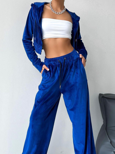 Women's Set Casual Two Piece Set Fall Outfit Sport Velvet Sweatshirt and Straight Pant