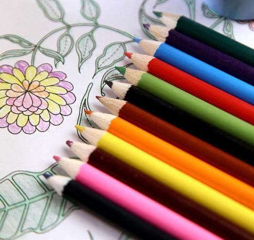 custom premier 12 colors promotional mini pencils for drawing