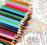 custom premier 12 colors promotional mini pencils for drawing