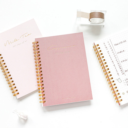 Wholesale Cheap B6 School Student Diary Agenda Custom Design Spiral Notebook Journal