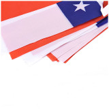 OEM custom size international bunting String flags wholesale