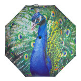 Fantastic vogue  high quality umbrella transfer peacock design 3 fold umbrella for lady