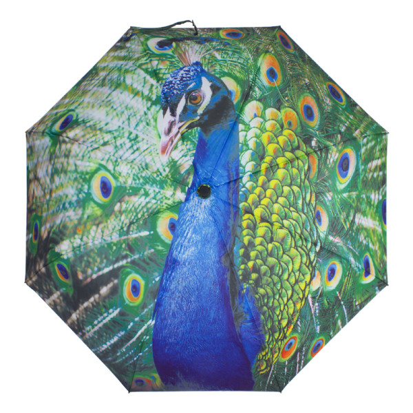 Fantastic vogue  high quality umbrella transfer peacock design 3 fold umbrella for lady