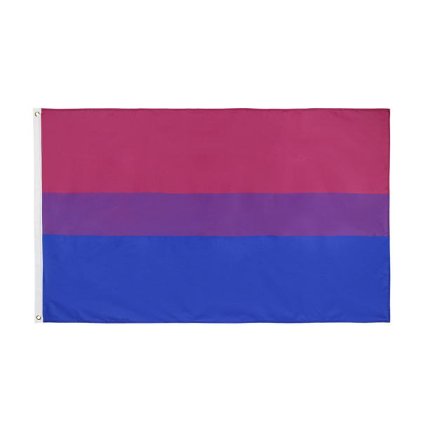 Fashion 90*150cm polyester bunting custom bisexual flag banner