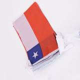 OEM custom size international bunting String flags wholesale