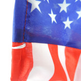 Custom flag usa American Windsocks garden beautiful for decorative