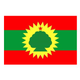 Factory price customized Vivid flag oromo wholesale