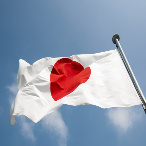 Hot sale Digital double side printing Vivid polyester Japan flag in bulk