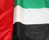 Customized polyester 3*5ft UAE flag campaign Hand held uae flag