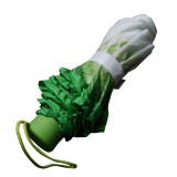 China creative digital printing sunny and rainy women vegetables style 3 folding umbrella