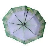 China creative digital printing sunny and rainy women vegetables style 3 folding umbrella