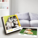 Dog Print Calendars Tear off Calendar 2021 2022 Customized Daily 365 Pages Desktop Table Advent Office Calendar with Back stand