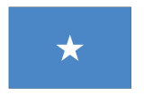 Rush delivery wholesale custom polyester campaign flag banner 3*5ft Somali flag