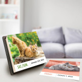 Custom Back Stand Calendar 2021 2022 Daily Tear Off 365 Days Travel Calendars Home Office Desktop Table  Calendar