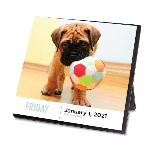 Dog Print Calendars Tear off Calendar 2021 2022 Customized Daily 365 Pages Desktop Table Advent Office Calendar with Back stand