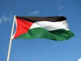 Factory price Vivid polyester Palestine flag 3x5 ft wholesale
