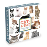 Custom Back Stand Calendar 2021 2022 Daily Tear Off 365 Days Travel Calendars Home Office Desktop Table  Calendar
