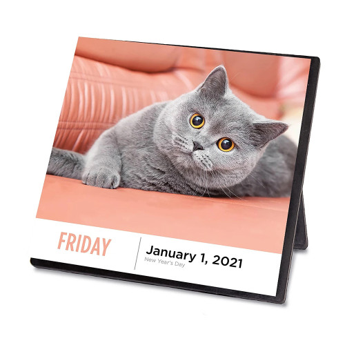 Custom Back Stand Calendar 2021 2022 Daily Tear Off 365 Days Travel Calendars Home Office Desktop Table  Calendar