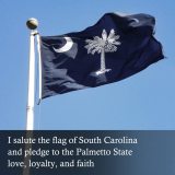 High-Grade South Carolina 3x5 FT Embroidered flags SC State Outdoor Palmetto Flag