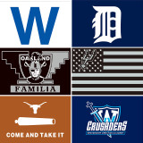 Professional custom factory Advertising flag Polyester raiders flags banner