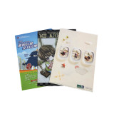 New custom a3 a4 a5 size plastic landscape file envelope folder
