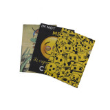 New custom a3 a4 a5 size plastic landscape file envelope folder