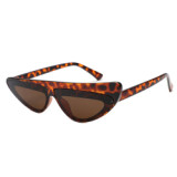 12029 Superhot Eyewear 2018 Fashion Cateye Sun glasses Small Retro Vintage Asymmetry Cat eye Sunglasses