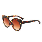 12345 Superhot Eyewear Strips Color Cateye Sun glasses PC Frame Women 2018 Fashion Cat Eye Sunglasses