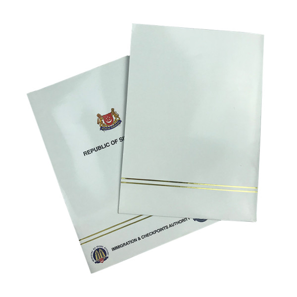 Factory Direct Sale 2 Pockets Custom Paper File Presentation Folder for File and Business Card