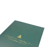 Popular CMYK Printing Custom Logo Paper Document File Folder with Two Pockets