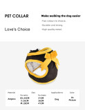 Wholesale Dog Training Leashes Harness For Dogs And Cats