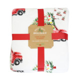 100% Polyester Printing Flannel Blanket Super Soft 60 *70  Plush throw blanket