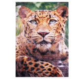 polyester fleece customization high penetration digital sublimation photo printed throw blankets