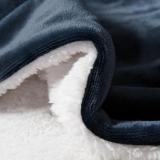 Promotion Double Layer 100% Polyester Flannel Fleece Blanket With Sherpa
