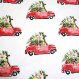 100% Polyester Printing Flannel Blanket Super Soft 60 *70  Plush throw blanket