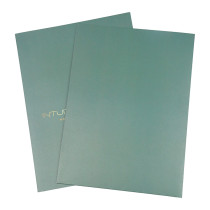 Popular CMYK Printing Custom Logo Paper Document File Folder with Two Pockets