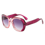 22537 Superhot Eyewear 2019 New Fashion Women Sun glasses Wholesale Square Tortoiseshell Sunglasses