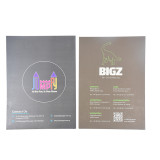 Custom Design A4 2 Pocket Office Document Presentation Paper File Folder with Your Own Logo