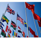 top selling decoration country promotional beach cheap national flag
