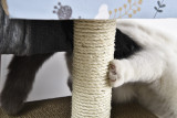 Wholesale Interesting Corrugated Cat Scratcher Board