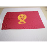 Custom made different kinds country national flag