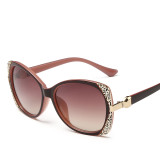 New Fashion Women Sunglasses Ladies Eyewear High Quality Summer Sun Glasses Female Shade Glasses 115701