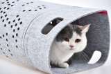 35*60Cm Customized Funny Cat Tunnel Bed House With Ziper Design