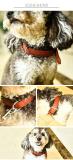 Whosale luxury dog collar,dog collar