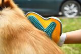 Durable pet lice grooming comb,pet comb brush