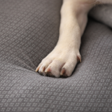 Graphene Material Pet Bed Deodorization Anti-Bacteria  Health Air Mesh Dog Bed