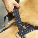 Wholesale custom Seat Belts pet dog body harness