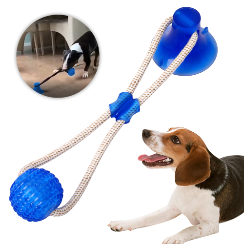 Indoor & Outdoor Puppy Interactive Chewer Ball Strong Sucker Rubber Dog Toy